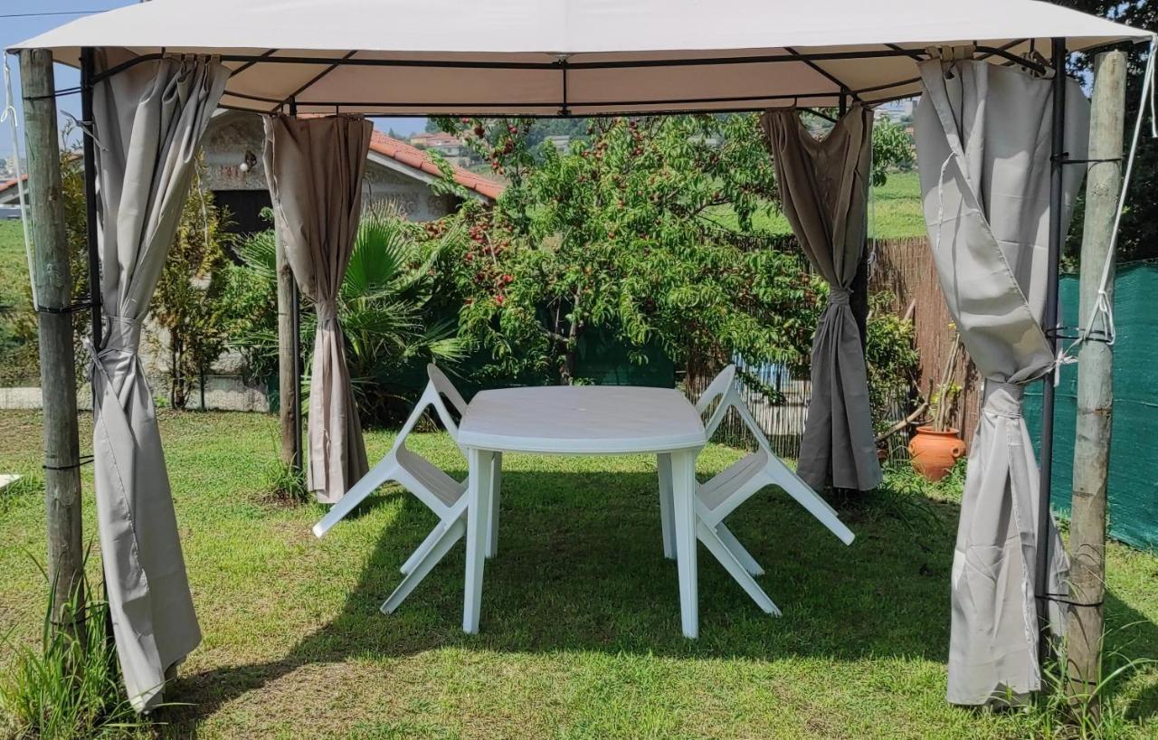 Quinta De Carvalhal - Casa De Campo 吉马良斯 外观 照片
