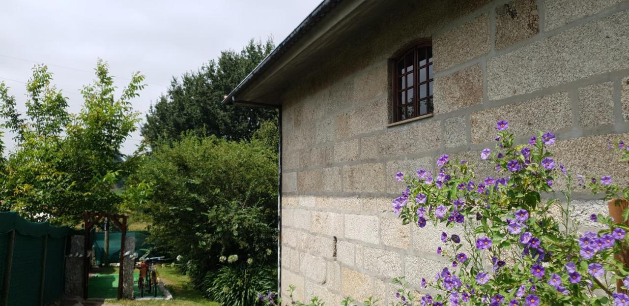 Quinta De Carvalhal - Casa De Campo 吉马良斯 外观 照片
